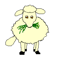 mouton2.gif (8356 octets)