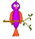 bird.gif (2280 octets)