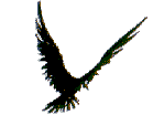 bird003.gif (4438 octets)