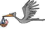 bird004.gif (8088 octets)