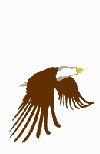 bird006.gif (11313 octets)