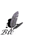 bienve.gif (6003 octets)