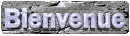 bienvenue22.gif (10368 octets)