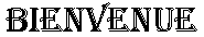 pweb17.gif (16564 octets)