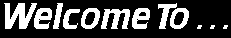 welcome4.gif (6929 octets)